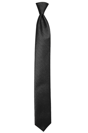 Picture of Vertical Black Shiny Windsor