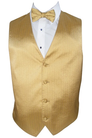 Picture of VERTICAL GOLD SHINY VEST