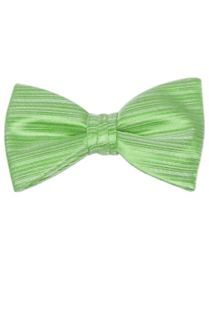 Picture of VERTICAL LIME BOW
