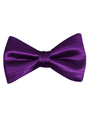 Picture of VERTICAL PURPLE BOW