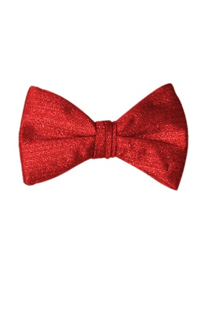 Picture of VERTICAL RED SHINY BOW