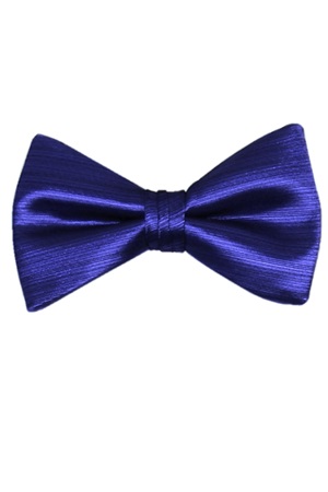 Picture of VERTICAL ROYAL BLUE BOW 