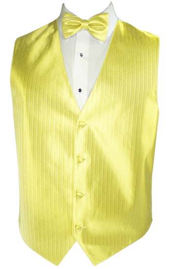 Picture of VERTICAL SUNBEAM VEST