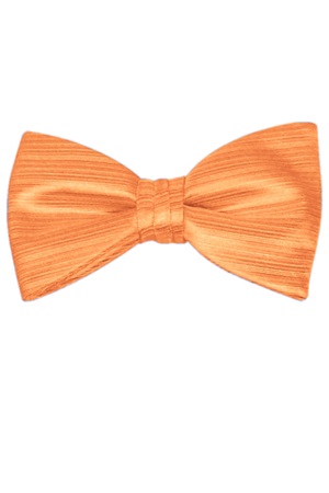 Picture of VERTICAL TANGERINE BOW