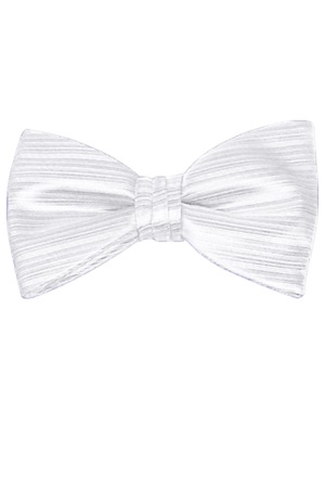 Picture of VERTICAL WHITE BOW