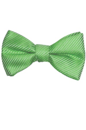 Picture of SYNERGY APPLE GREEN BOW