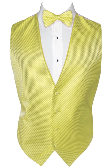 Picture of SYNERGY CANARY VEST