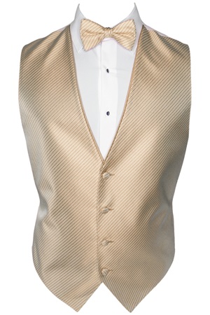 Picture of SYNERGY CHAMPAGNE TAN VEST