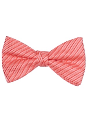 Picture of SYNERGY CORAL BOW