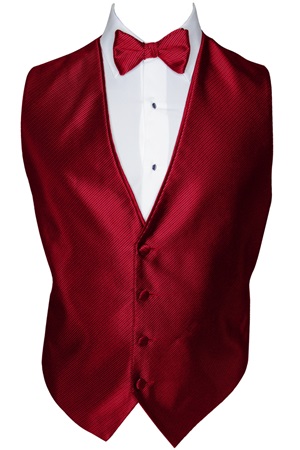 Picture of SYNERGY FERRARI RED VEST