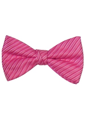 Picture of SYNERGY FUCHSIA BOW