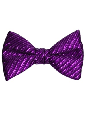 Picture of SYNERGY METALLIC PURPLE BOW