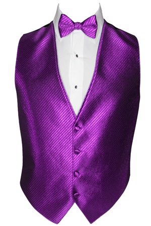 Picture of SYNERGY METALLIC PURPLE VEST