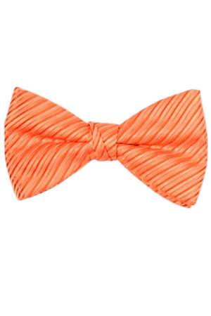 Picture of SYNERGY ORANGE BOW