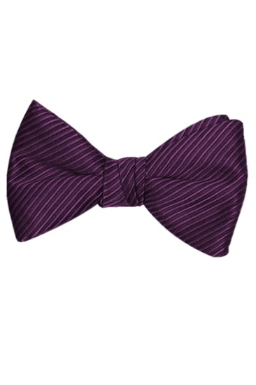 Picture of SYNERGY PLUM BOW