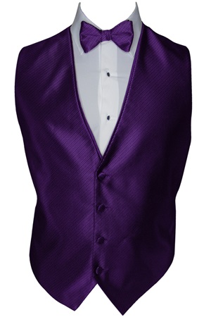 Picture of SYNERGY PURPLE STORM VEST