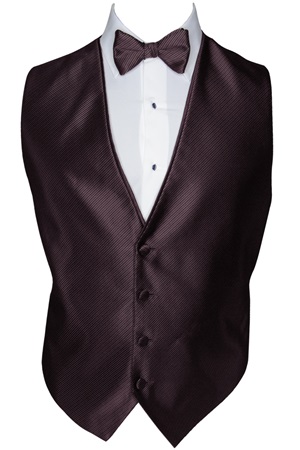 Picture of SYNERGY TRUFFLE VEST