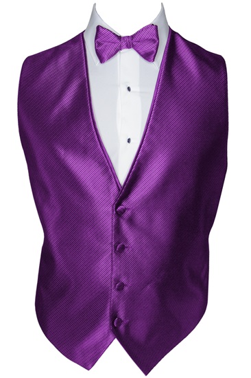 Picture of SYNERGY VIOLA VEST