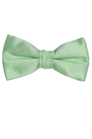 Picture of PORTOFINO PISTACHIO BOW