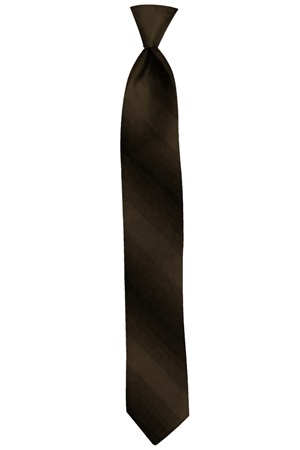 Picture of CHOCOLATE OMBRE TIE