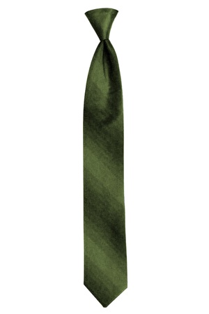 Picture of FERN OMBRE TIE