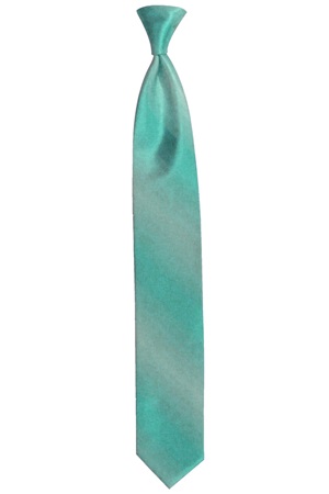 Picture of MERMAID OMBRE TIE