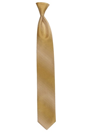 Picture of MIDUS GOLD OMBRE TIE