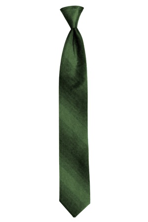 Picture of MOSS OMBRE TIE