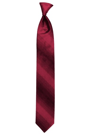 Picture of PASSION OMBRE TIE