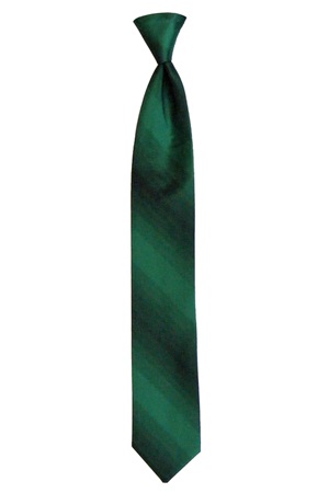 Picture of PEACOCK OMBRE TIE