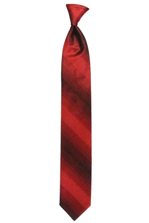 Picture of PERSIMMON OMBRE TIE