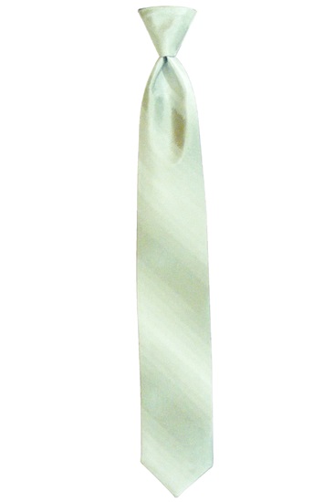 Picture of PISTACHIO OMBRE TIE