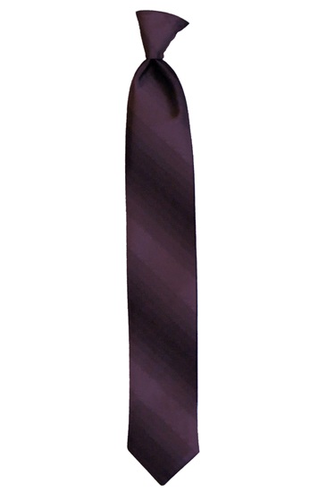 Picture of PLUM OMBRE TIE