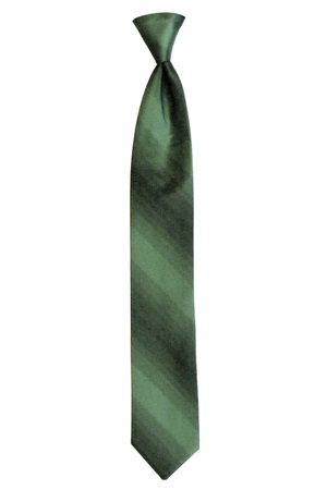 Picture of SAGE OMBRE TIE