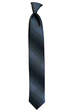 Picture of SERENE OMBRE TIES
