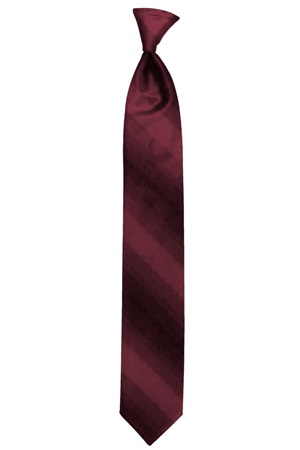 Picture of WINE OMBRE TIE